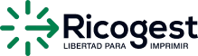 logo ricogest